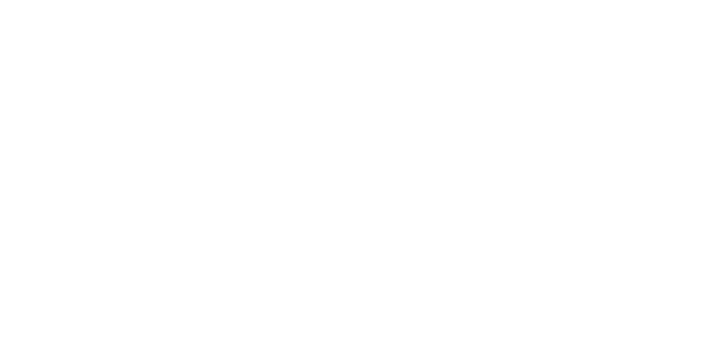 White CAMi Logo