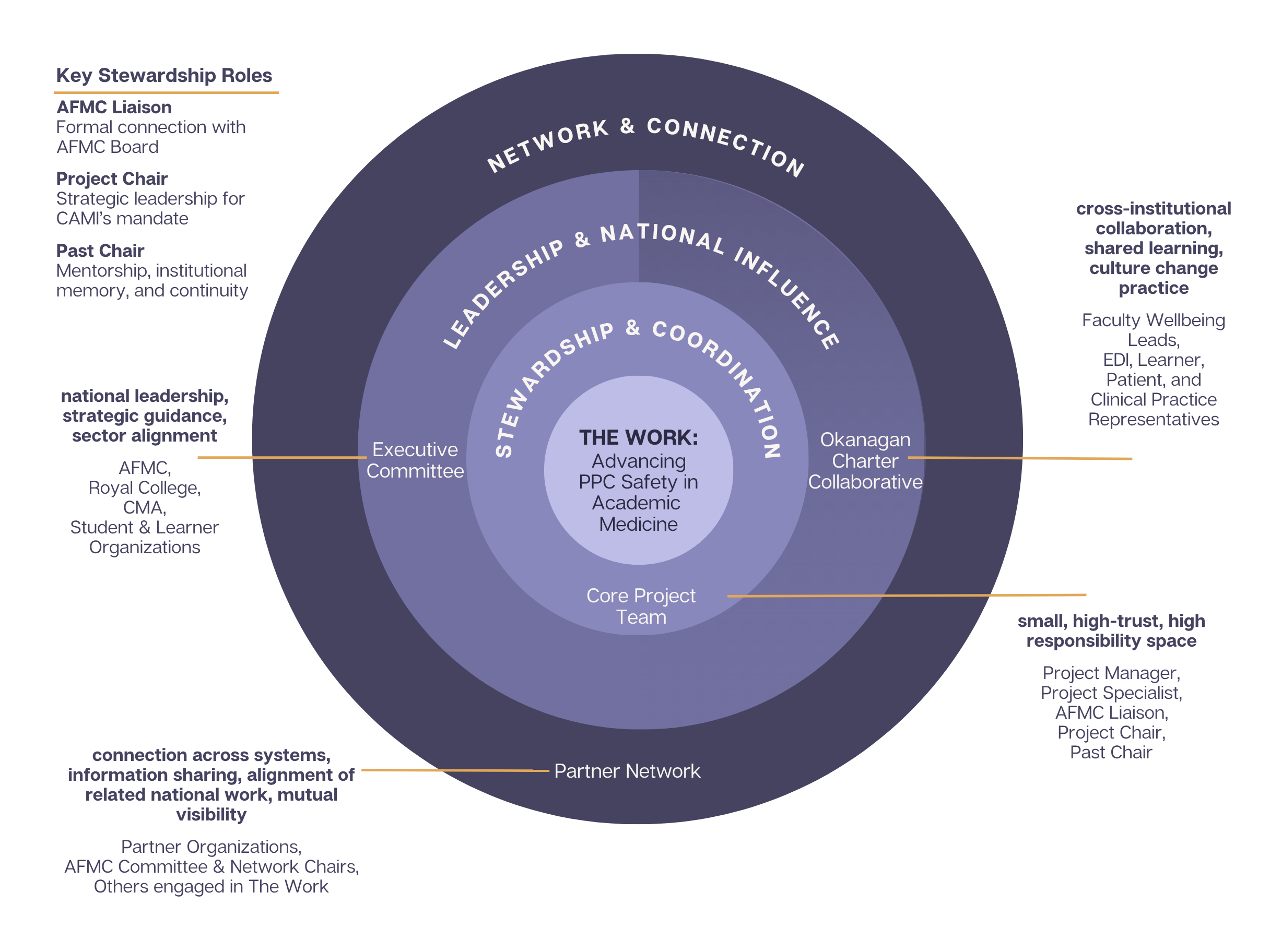CAMI-TIPS Governance Model